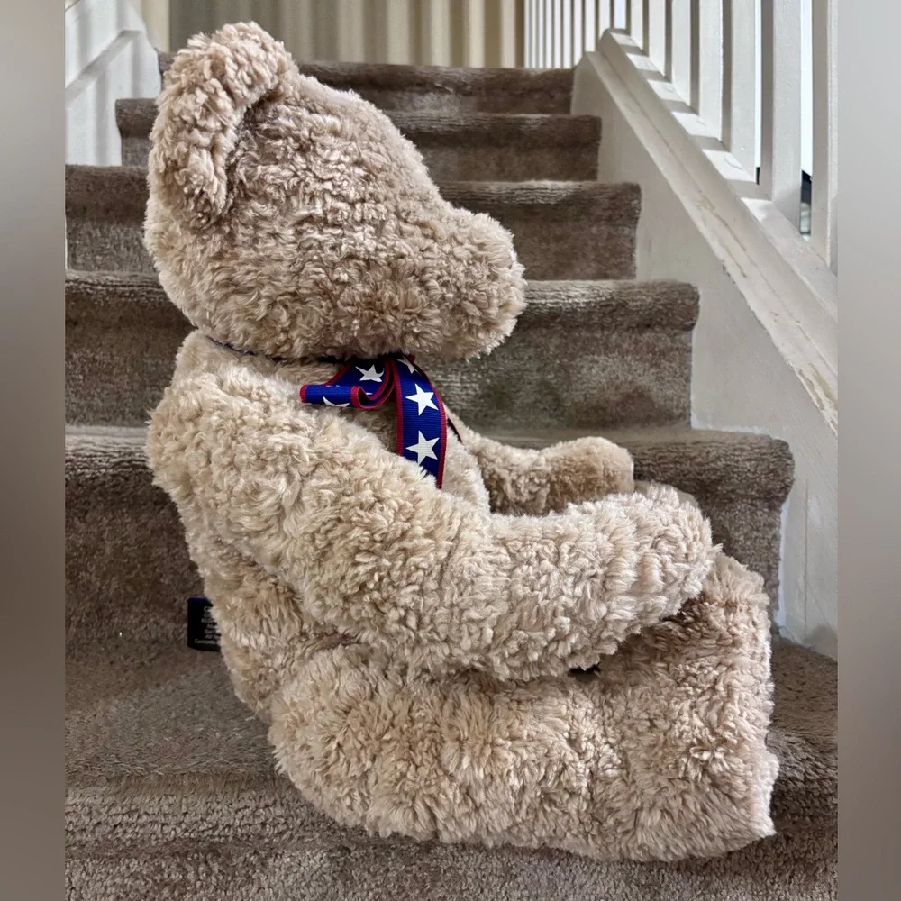 Vintage Gund 2002 Wish Bear 100th Anniversary Large Plush Stuffed Teddy Bear Y2K